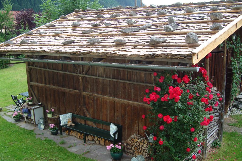 Ferienwohnungen Kroll - Appartements Viktoria Und Landhaus Maria Mayrhofen Eksteriør billede